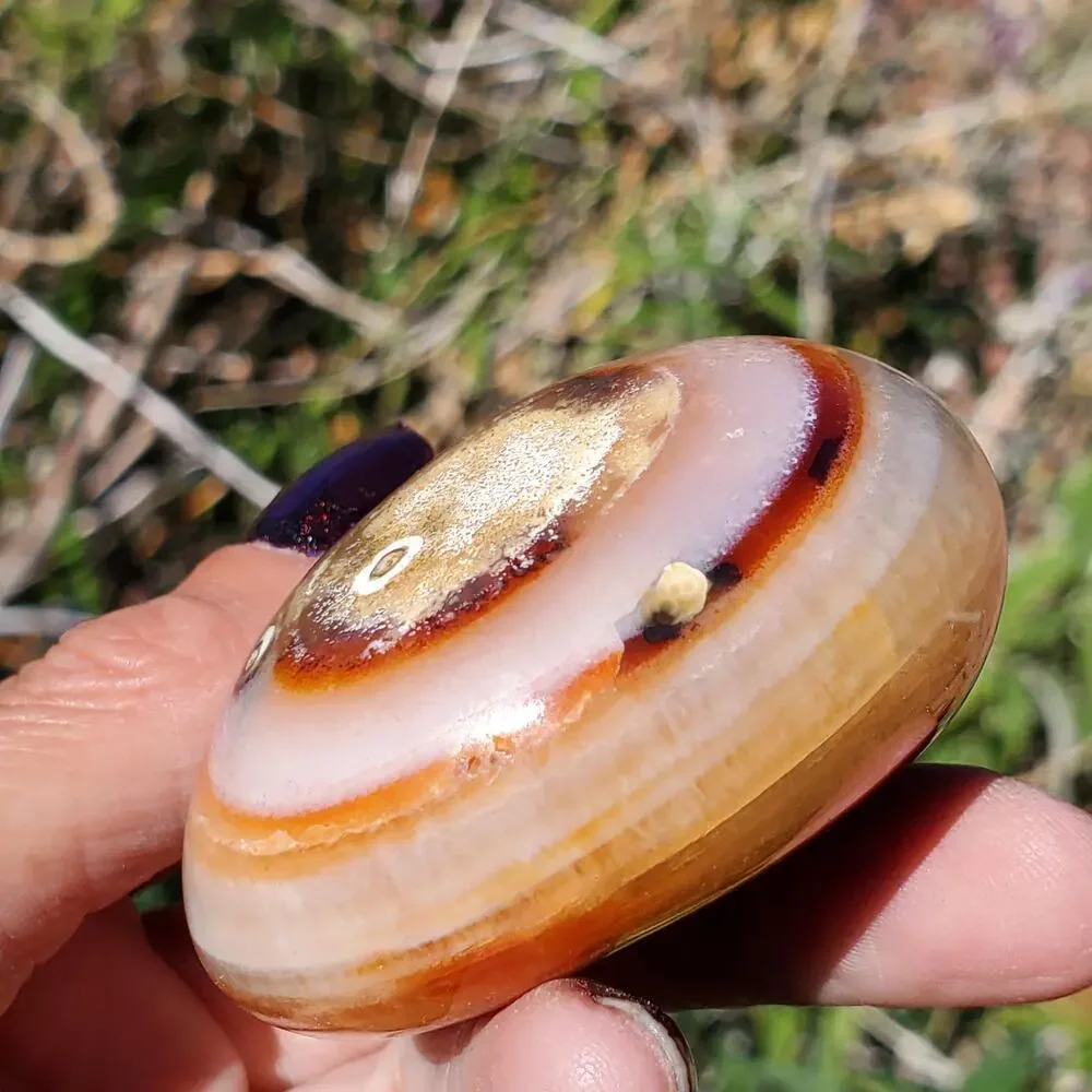 Eyes on Back Orca Agate Carnelian Stone Crystal UNIQUE Palmstone 180 grams